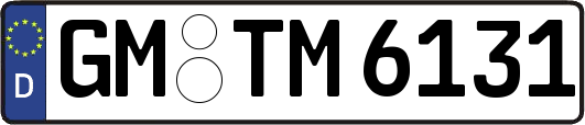 GM-TM6131
