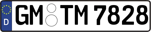 GM-TM7828