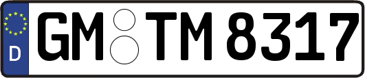 GM-TM8317