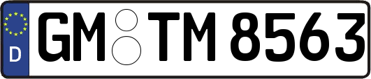 GM-TM8563