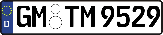 GM-TM9529