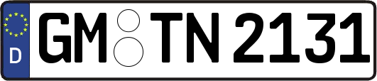 GM-TN2131