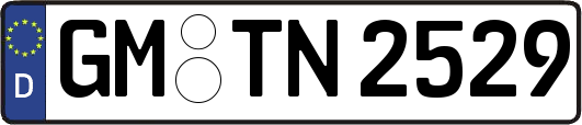 GM-TN2529