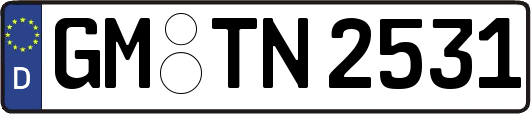 GM-TN2531