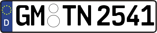 GM-TN2541