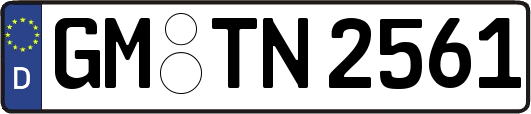 GM-TN2561