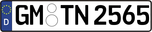 GM-TN2565