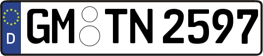 GM-TN2597