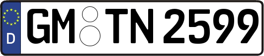 GM-TN2599