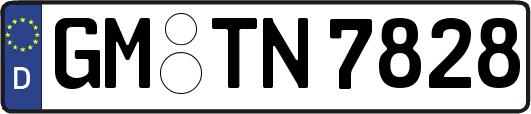 GM-TN7828