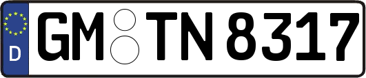 GM-TN8317