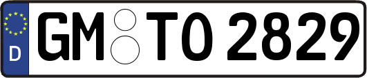 GM-TO2829