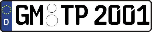 GM-TP2001