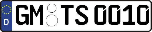 GM-TS0010