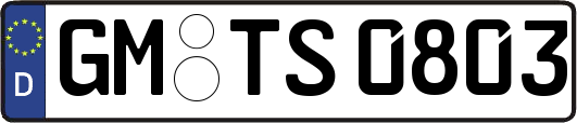 GM-TS0803