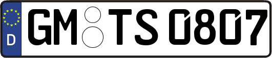 GM-TS0807