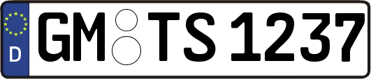 GM-TS1237