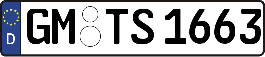 GM-TS1663