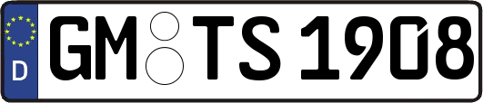 GM-TS1908