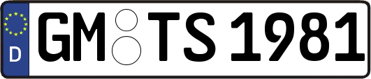 GM-TS1981