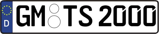 GM-TS2000