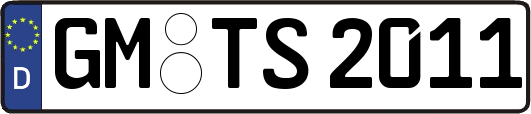 GM-TS2011