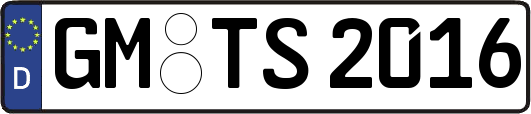 GM-TS2016