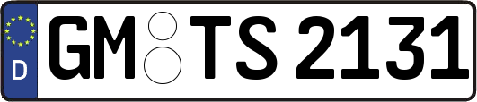 GM-TS2131