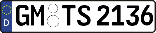 GM-TS2136