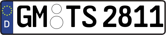 GM-TS2811