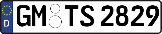 GM-TS2829