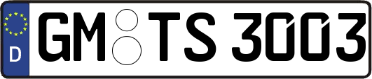 GM-TS3003