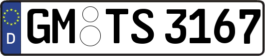 GM-TS3167