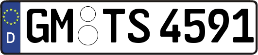 GM-TS4591