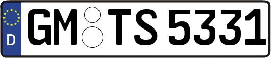 GM-TS5331