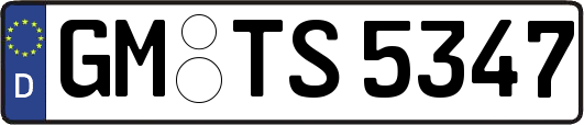 GM-TS5347