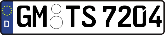 GM-TS7204