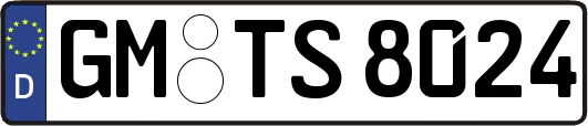 GM-TS8024