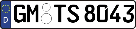 GM-TS8043
