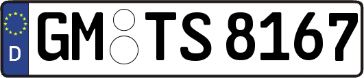 GM-TS8167