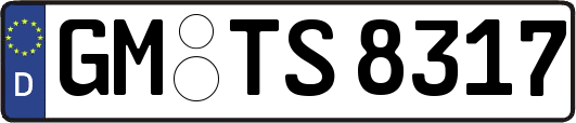 GM-TS8317