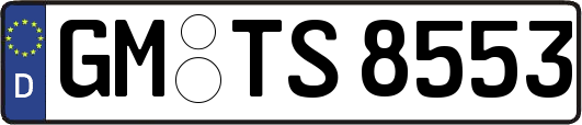 GM-TS8553