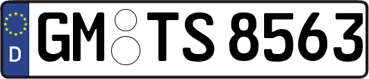 GM-TS8563