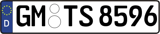 GM-TS8596