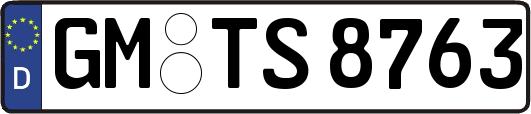 GM-TS8763