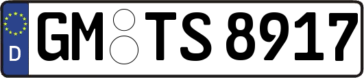 GM-TS8917