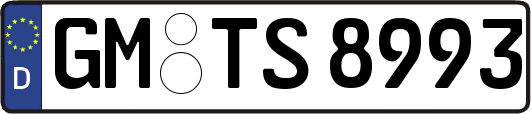 GM-TS8993