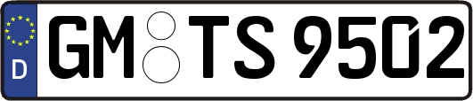 GM-TS9502