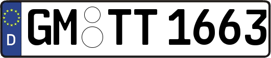 GM-TT1663