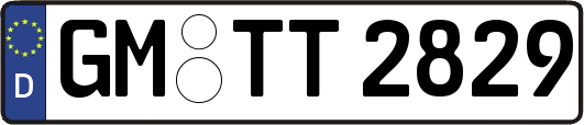 GM-TT2829